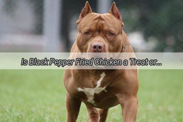 Is Black Pepper Fried Chicken a Treat or a Treatise The Truth Behind Feeding Your Dog This Spicy Delight